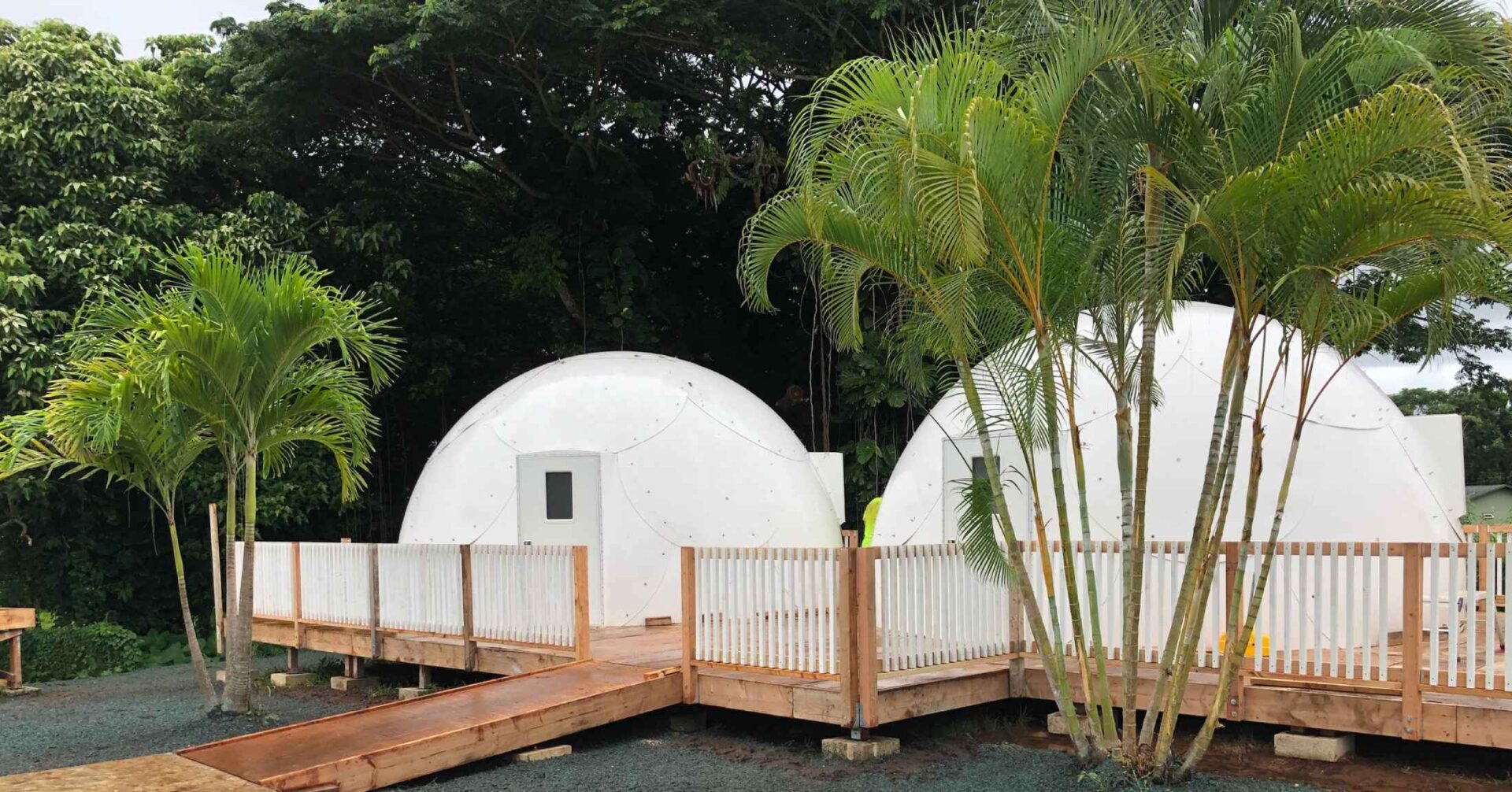 Two domes and trees outside