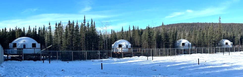 Four shelters in a place covered in snow
